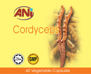 ANI Cordyceps