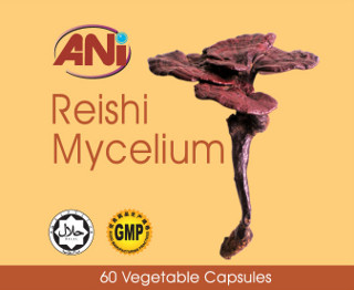 ANI Reishi Mycelium